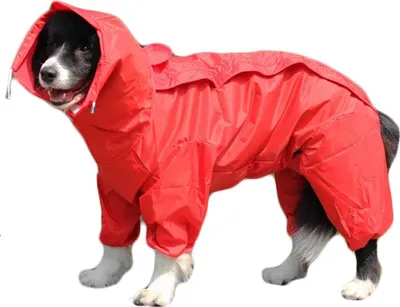 Produktbild von Hunderegenmantel mit abnehmbarem Hoodie, verstellbarer Hundejacke mit Kordelzug im Freien, rot,30