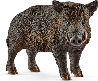 Produktbild von Schleich 14783 - Wildschwein Figur 4055744012761