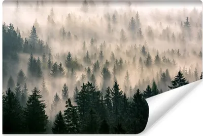Produktbild von Muralo Selbstklebende Fototapete WALD IM NEBEL Natur Landschaft 3D Br. 104cm x Hö. 70.5cm