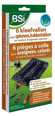 Image de Bsi 6 pièges collants pour araignées