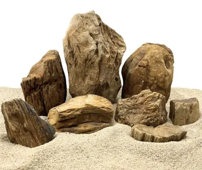 Produktbild von Aquarium Natursteine Brown Fossil Stein 25 kg Mix Größe M-XL Aquascaping Steine