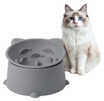 Produktbild von Erhöhter Katzennapf Silikon 10° Neigung, Langsam Fressen, Anti-Schling, Halswirbelsäulenschutz, Höhenverstellbar