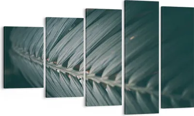 Produktbild von Bild auf Leinwand - Leinwandbild - 5 Teile - Blatt Palme exotisch - 100x60cm - Wand Bild - Wanddeko - Wandbilder - Leinwanddruck - Bilder - Wanddekoration - Leinwand bilder - Wandbild - EG100x60-4907