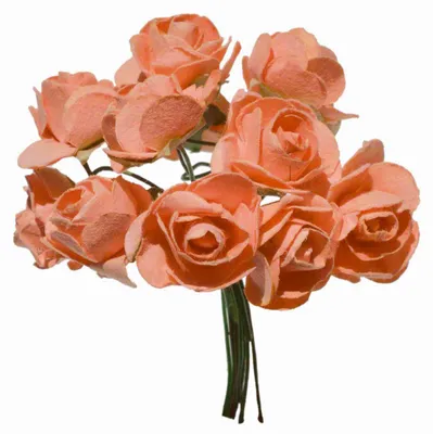 1 Bündel je 12 Rosen Röschen, Länge 7cm, Dekoration, Floristik orange