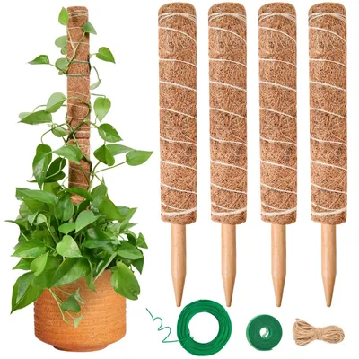 Image de Elzusha - Tuteurs pour plantes grimpantes Monstera, 4 pièces de 40 cm, en fibres de coco