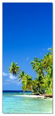 Produktbild von Wallario selbstklebende Türtapete 93 x 205 cm mit Schutzlaminat - Blauer Himmel  weißer Strand  Palmen und das tiefblaue Meer