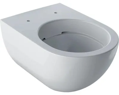 Productafbeelding van Geberit Acanto wandtoilet, diep spoelsysteem, volledig keramisch design, Rimfree, hoogte 51 cm, wit, 1 stuk.