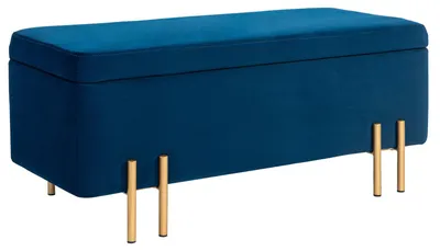 Produktbild von Polsterbank mit Stauraum, Metall, Kautschukholz, 100x40x42 cm, für Wohnzimmer