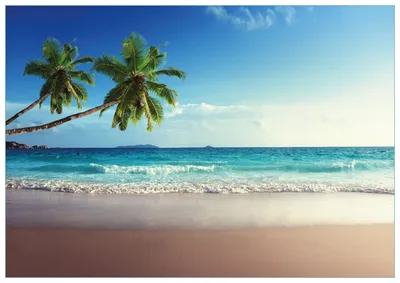 Produktbild von Wallario Premium Glasbild, freischwebende Optik, kräftige Farben, Größe 100 x 70 cm Motiv Sandstrand auf den Seychellen - Urlaub unter Palmen