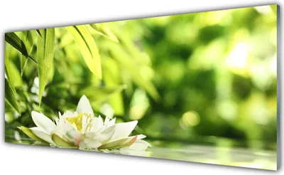 Produktbild von Glasbilder 125x50 Wandbild Druck auf Glas Blume Blätter Pflanzen
