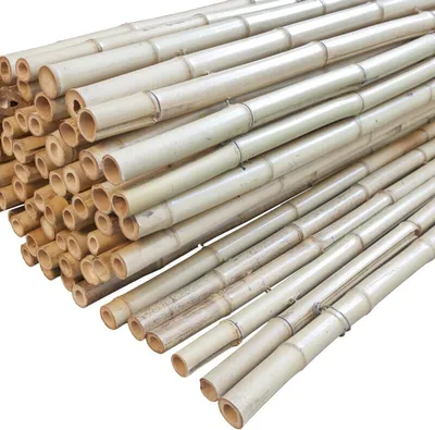 A pile of light-colored bamboo poles, likely for fencing or construction, is shown against a white background.