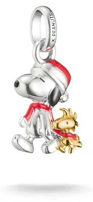 Imagen del producto de Thomas Sabo  ?armoj CC1307-427-7