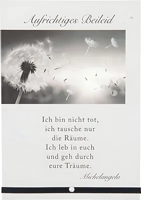 Produktbild von Depesche Trauerkarten Sortierung : Aufrichtiges Beileid! Ich bin nicht... Trauerkarten Sortierung : Aufrichtiges Beileid! Ich bin nicht...