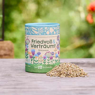 Image de Prairie fleurie : paisible et idyllique - Mélange de graines de fleurs dans une