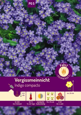 Artikelbild 1 von 'Vergißmeinnicht Indigo compacto' aus der Kategorie Vergissmeinnichtsamen