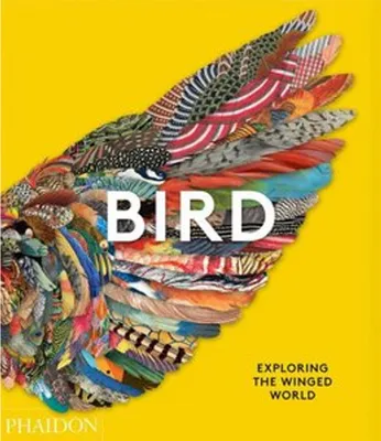 Obrázok produktu pre Bird