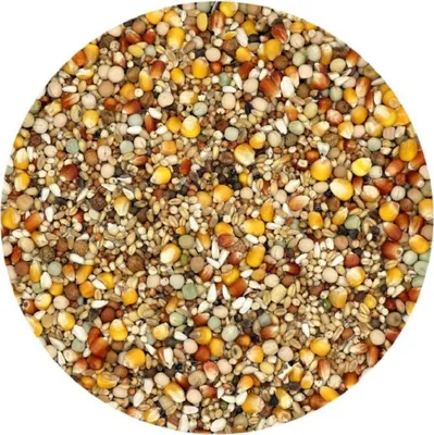 Productafbeelding van Versele-Laga Traditional Kweek/Sport Extra Duivenvoer 5KG