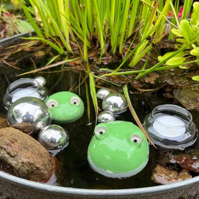 Produktbild von 10-tlg. Miniteich-Set – 2 Schwimmfrösche, 6 Edelstahl-Schwimmkugeln & 2 Glas-Teelichtschalen