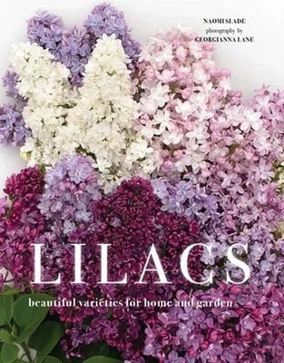 Image de Lilacs