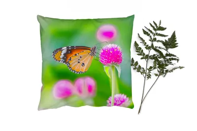 Produktbild von MuchoWow® Zierkissen Sofakissen Wohnzimmer Dekokissen 45x45 cm Landleben - Schmetterling - Distel - Blume - Schlafpolster - Polster für das Sofa