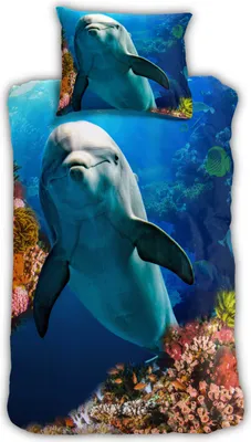 Produktbild von Delfin Bettwäsche Digitaldruck ESPiCO Sleep and Dream 135 cm x 200 cm