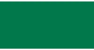 1 Shot Medium Green 144-L 118 ml Linierfarbe