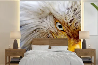 Produktbild von MuchoWow® Fototapete für Wohnzimmer oder Schlafzimmer Wandtapete Vinyl Motivtapete Vogel - Auge - Schnabel - 220x220 cm - Tapeten