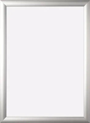 Immagine prodotto di Bi-Office VT720415370 Cornice per poster Bi-Office, in alluminio, DIN A4