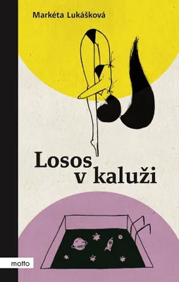 Image de Losos v kaluži | Markéta Lukášková