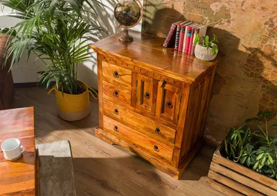 A wooden chest of drawers with books and a globe on top, placed in a room with plants and a map on the wall.