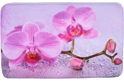 Obrázek produktu pro SANILO® Badteppich Blooming 50 x 80 cm