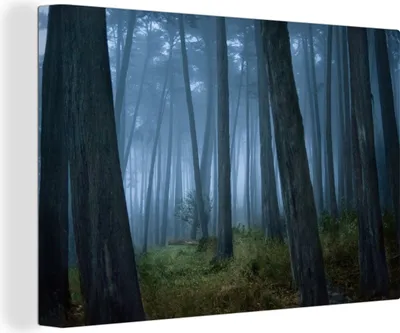 Produktbild von OneMillionCanvasses® - Leinwandbilder - 140x90 cm, Nebel zwischen Bäumen in einem Wald, Wandbilder Kunstdruck Wanddekoration