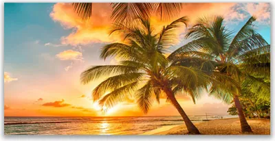 Produktbild von Tulup Leinwand-Bilder 140x70 Wandbild Canvas Kunstdruck Palmen Meer Landschaft