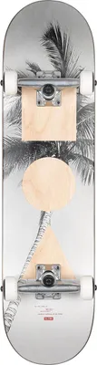Produktbild von Globe G1 Stack - Lone Palm 8.00" Skateboard