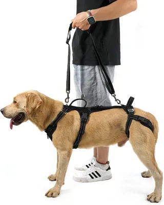 Obrázok produktu pre Postroj pre psa, veľkosť XL, podpôrný a turistický pás, rehabilitačná vesta pre problémy s kĺbmi