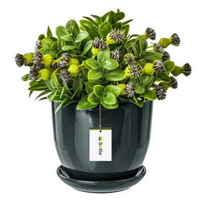 Produktbild von Keramiktopf Pflanztopf Blumenchale Übertopf Pflanzkübel handbemalt D 130 mm dunkel Grau Keramik inkl. Untersetzer Wasserablaufloch