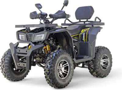 Produktbild von 200ccm Quad Kinder ATV Quad Pitbike 4 Takt Quad ATV 013 Hunter 10 Zoll