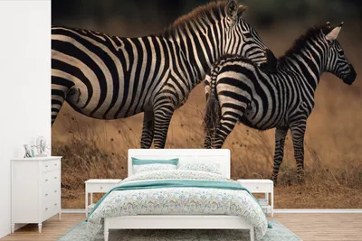 Produktbild von MuchoWow® Fototapete für Wohnzimmer oder Schlafzimmer Wandtapete Vinyl Motivtapete Zebras in der Savanne - 600x400 cm - Vinyltapeten