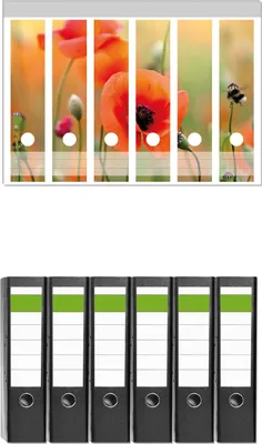 Produktbild von Wallario 6 Stück breite Ordner inkl. Klebeetiketten mit Motive Mohnblumenblüten -  Set mit Rückenschildern / Ordnerrücken Stickern