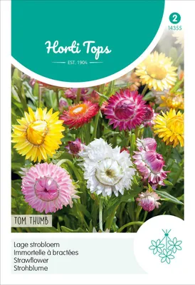 Productafbeelding van Strohblume Tom Thumb mengsel | Bloemenzaden van Hortitops