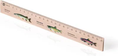Obrázek produktu pro Metrie | Didakt-M07, Dřevěné pravítko s potiskem | S motivem ryb | 25 cm