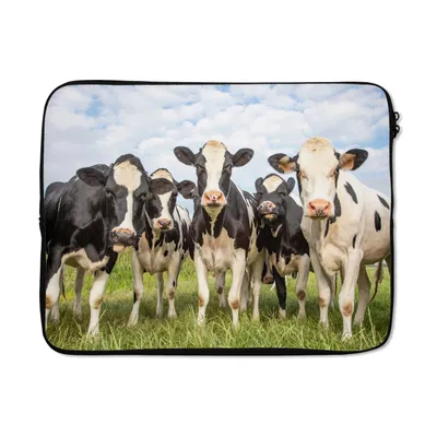 Produktbild von MuchoWow® Laptop Hülle 17 Zoll Laptoptasche Kühe - Weide - Tiere - Natur - Gras - Zipper - Schutzabdeckung