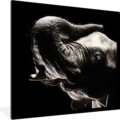 Produktbild von MuchoWow® Gerahmtes Poster Elefant in Schwarz und Weiß 40x40 cm - Poster mit Schwarzem Bilderrahmen Wandposter Rahmen Foto Bilder - Mit Rahmen - Wanddekoration Schlafzimmer