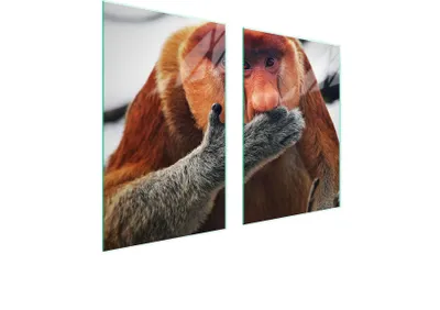 Produktbild von Glasschutzplatte Für Küche 65X52 Nosacz