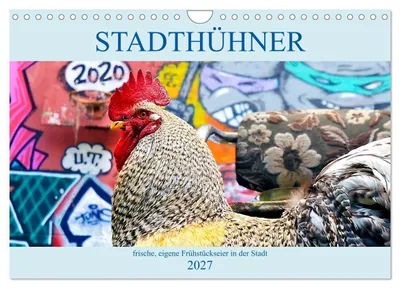 Produktbild von Stadthühner (Wandkalender 2027 DIN A4 quer), CALVENDO Monatskalender