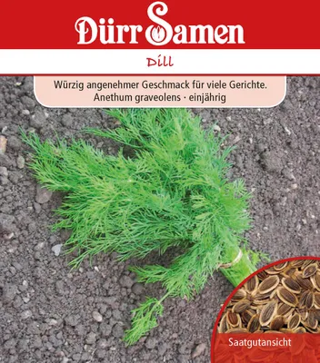 Artikelbild 1 von 'Dill' aus der Kategorie Dillsamen