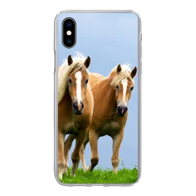 Produktbild von MuchoWow® Handyhülle Schutzhülle Hülle für iPhone Xs Pferde - Gras - Luft Silikon Softcase Handy Hülle - Handytasche