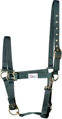 Immagine prodotto di Harry's Horse Tre Punti Regolabili Cavezza Verde Cob Verde Cob