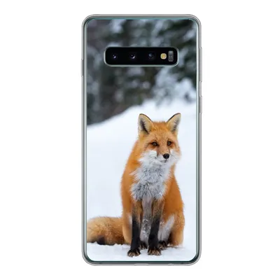 Produktbild von MuchoWow® Handyhülle Schutzhülle Hülle für Samsung Galaxy S10 Fuchs - Schnee - Wald Silikon Softcase Handy Hülle - Handytasche