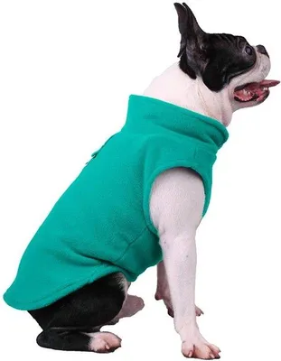 Produktbild von Hundefleece in Grün - Anpassbar für kleine und mittelgroße Hunde